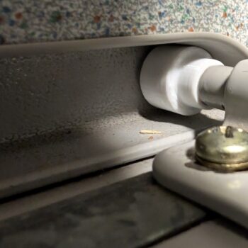 Rodamiento deslizando por la guía